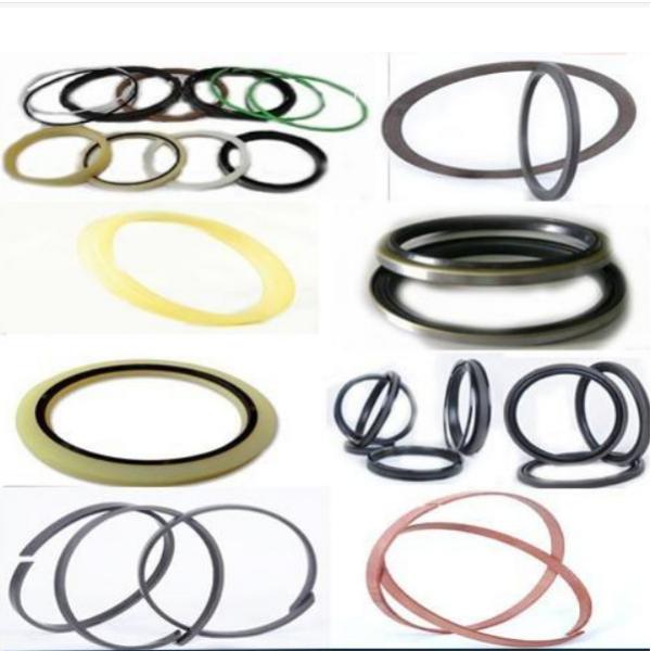 SCHAEFFLER GROUP USA INC DH215 Oil Seals #4 image