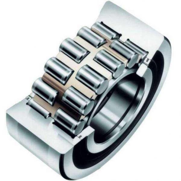 Double-row Cylindrical Rroller Bearings NSKNN3020K #1 image
