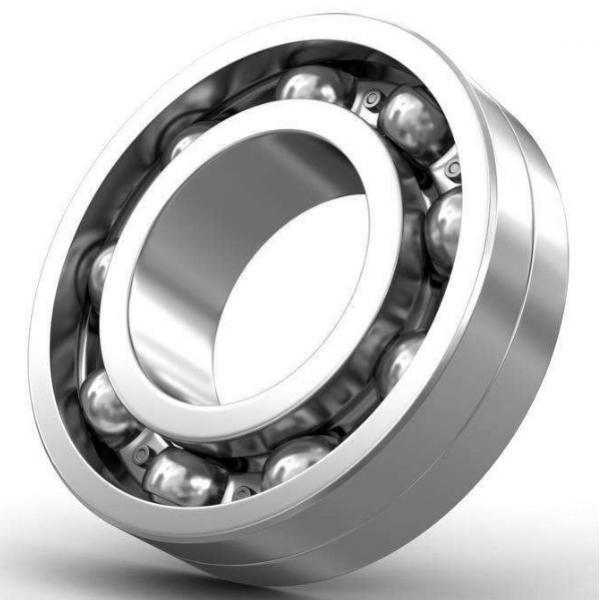 Deep Groove Ball Bearing 6060X2 #1 image