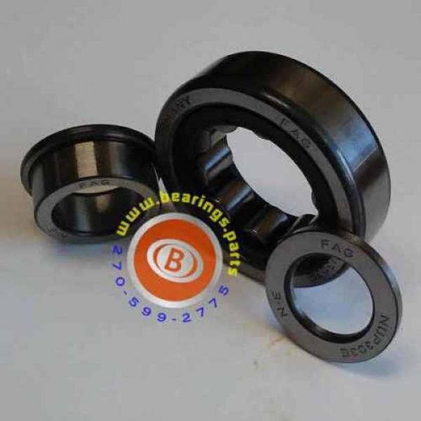 NUP303E-TVP2 Cylindrical Roller Bearing  -  FAG Brand #1 image